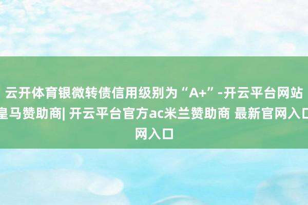 云开体育银微转债信用级别为“A+”-开云平台网站皇马赞助商| 开云平台官方ac米兰赞助商 最新官网入口