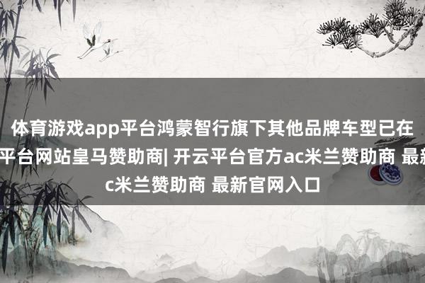 体育游戏app平台鸿蒙智行旗下其他品牌车型已在路上-开云平台网站皇马赞助商| 开云平台官方ac米兰赞助商 最新官网入口